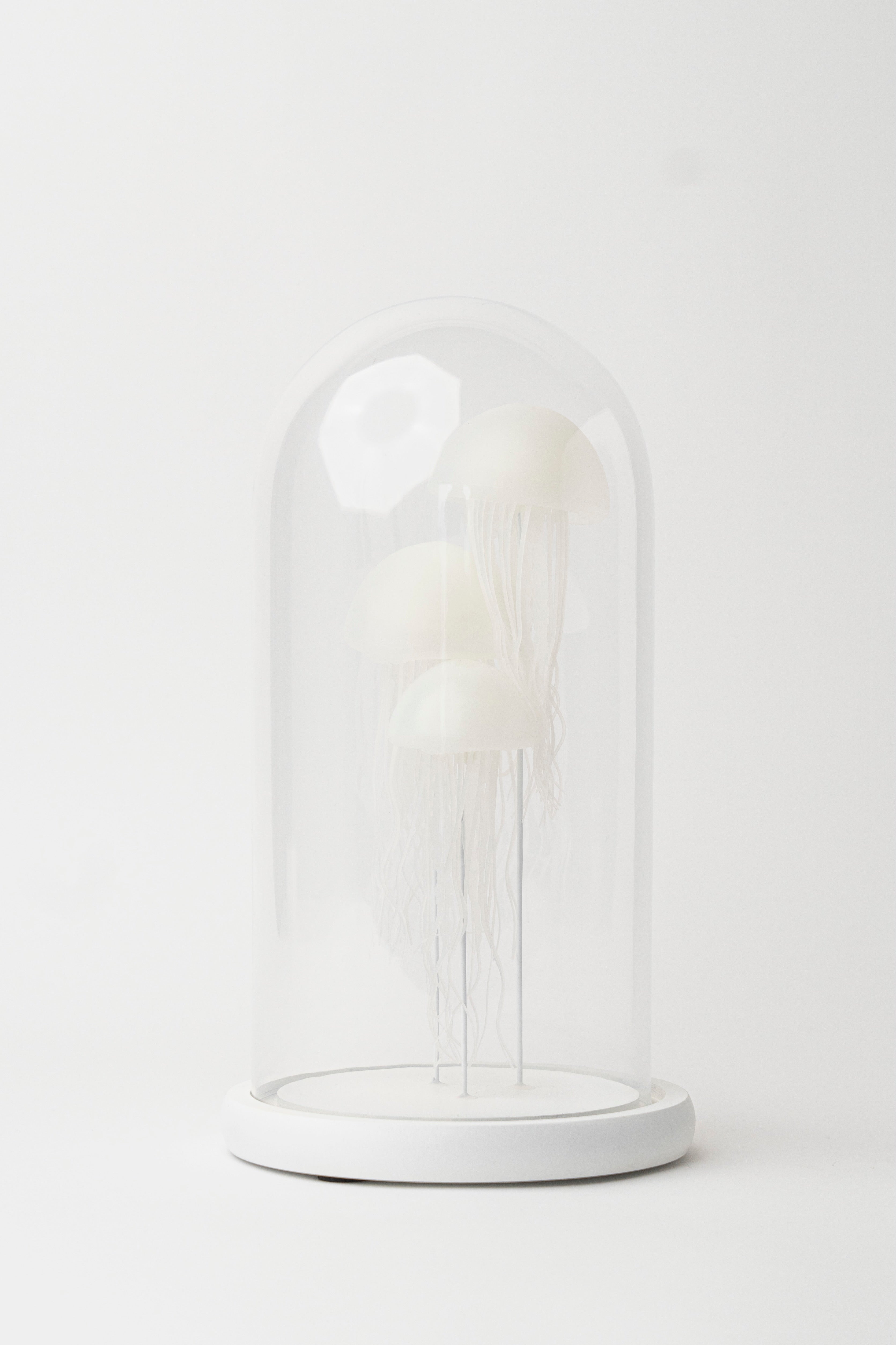 NOCTILUCENT JELLYFISH