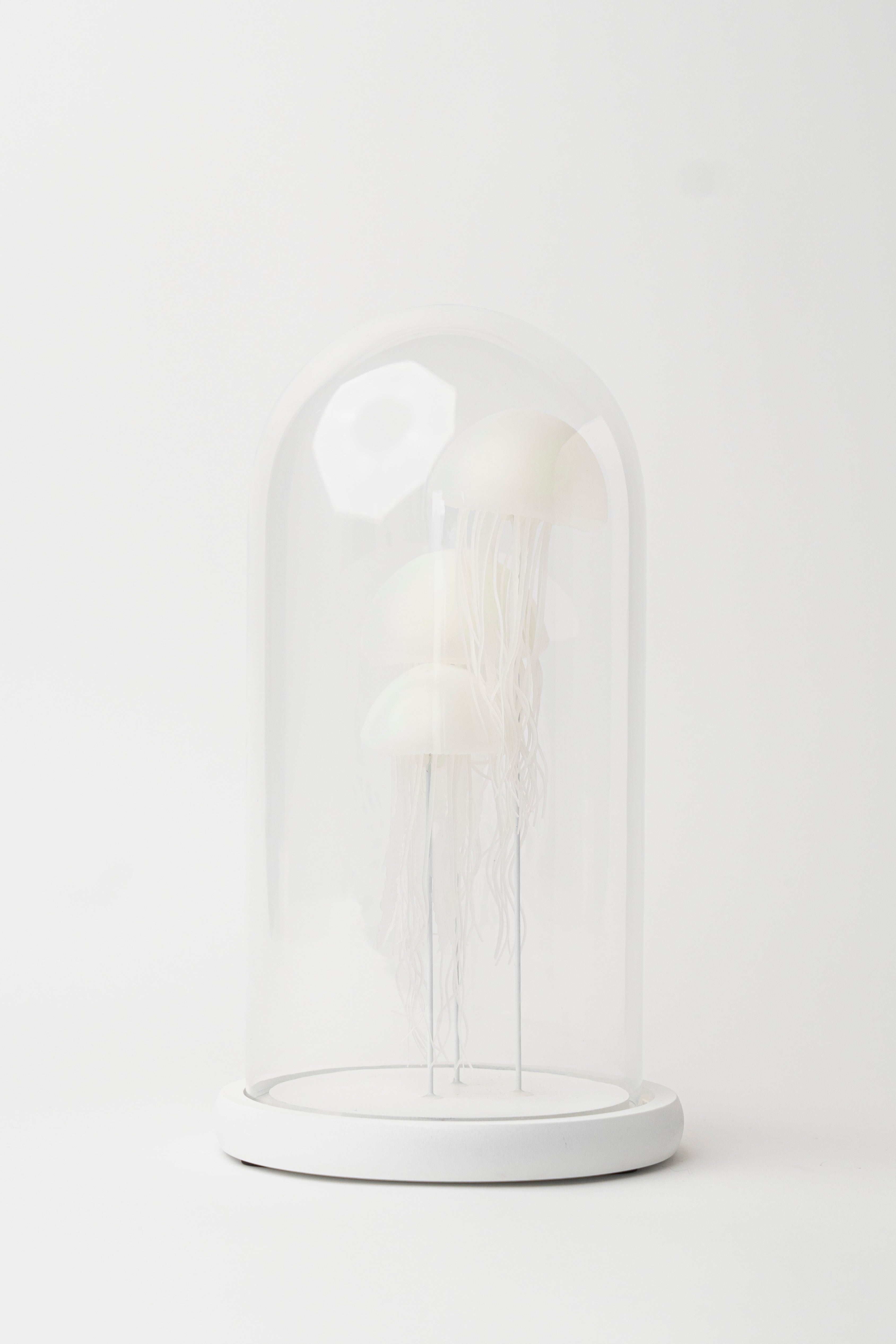 NOCTILUCENT JELLYFISH