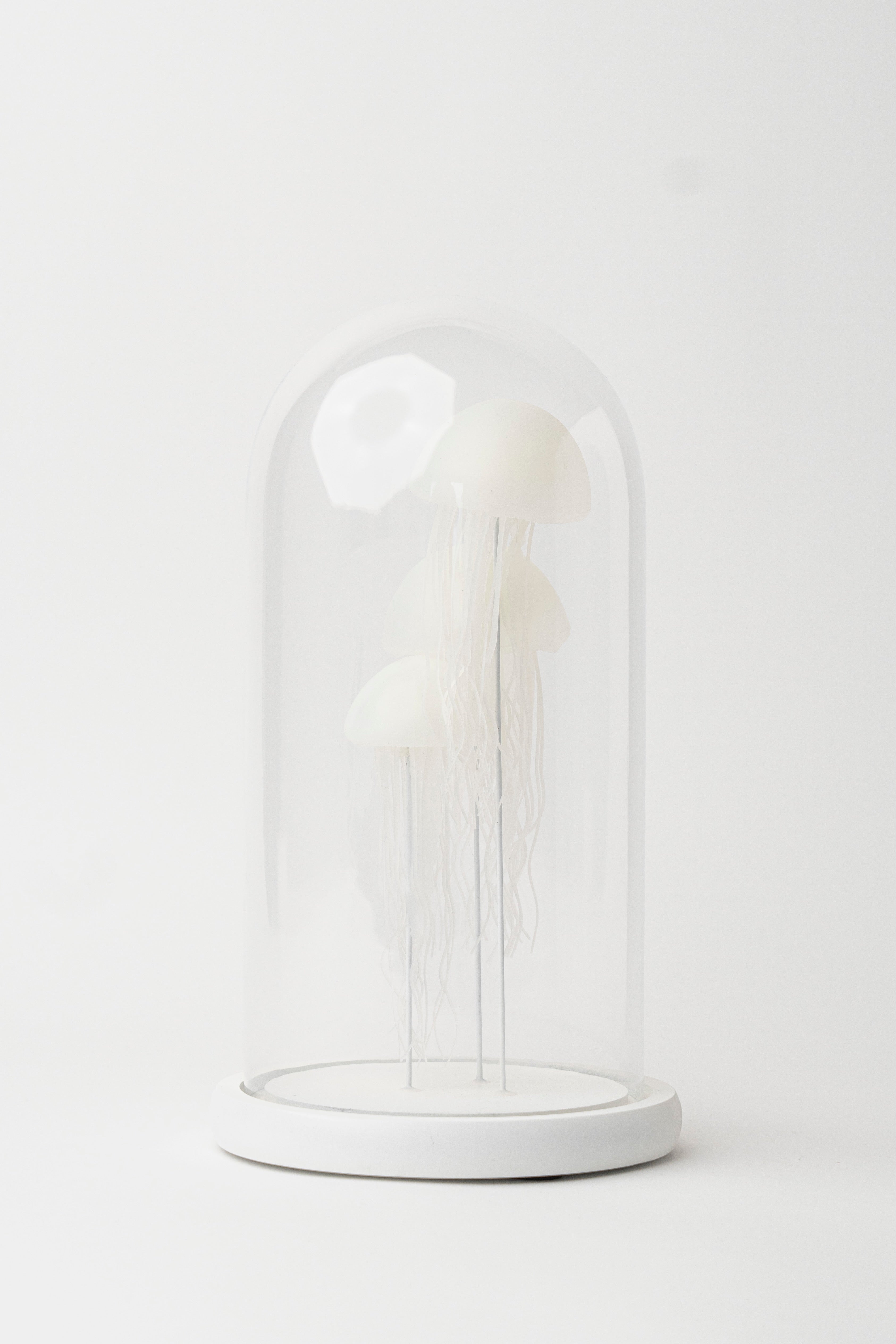 NOCTILUCENT JELLYFISH