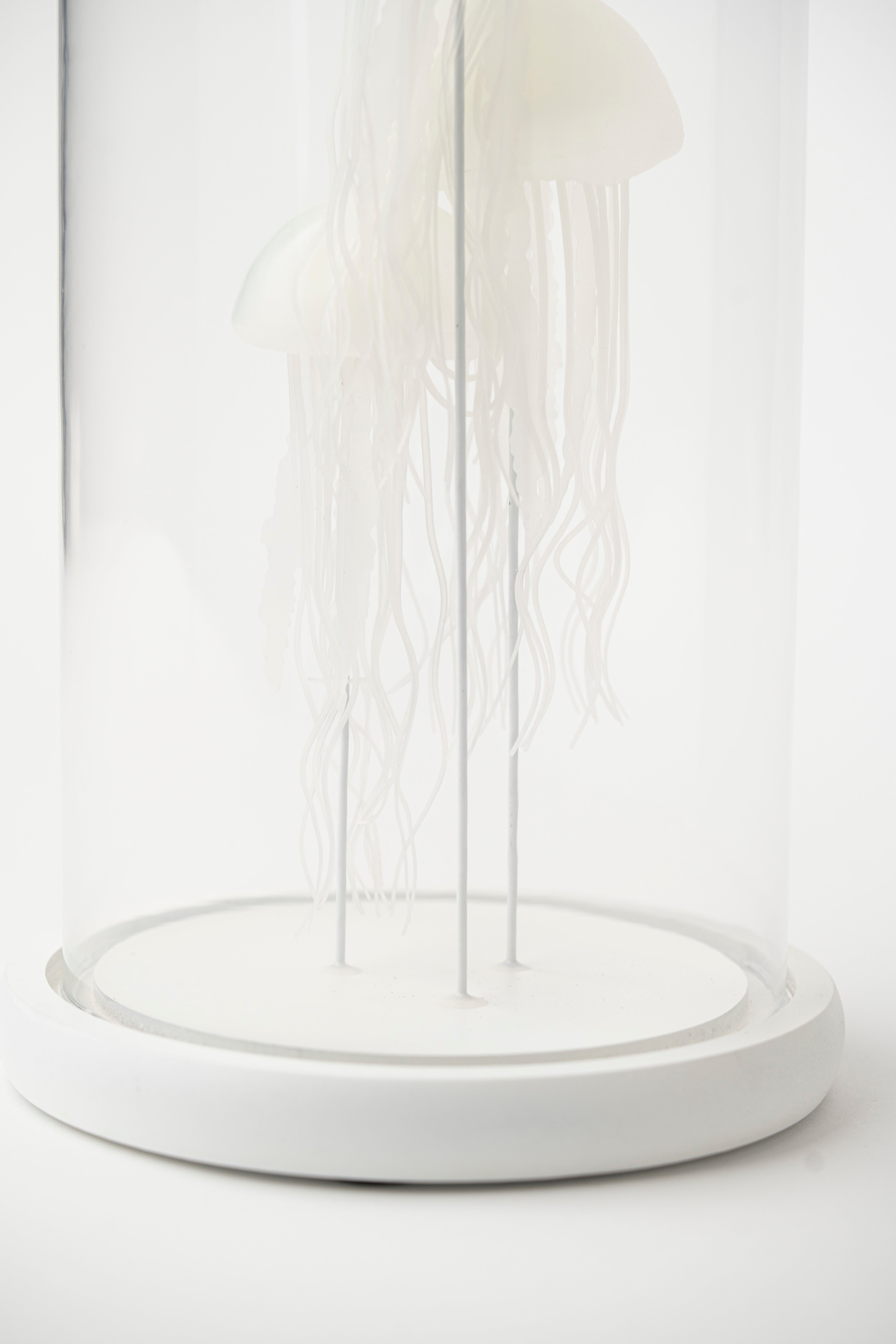 NOCTILUCENT JELLYFISH