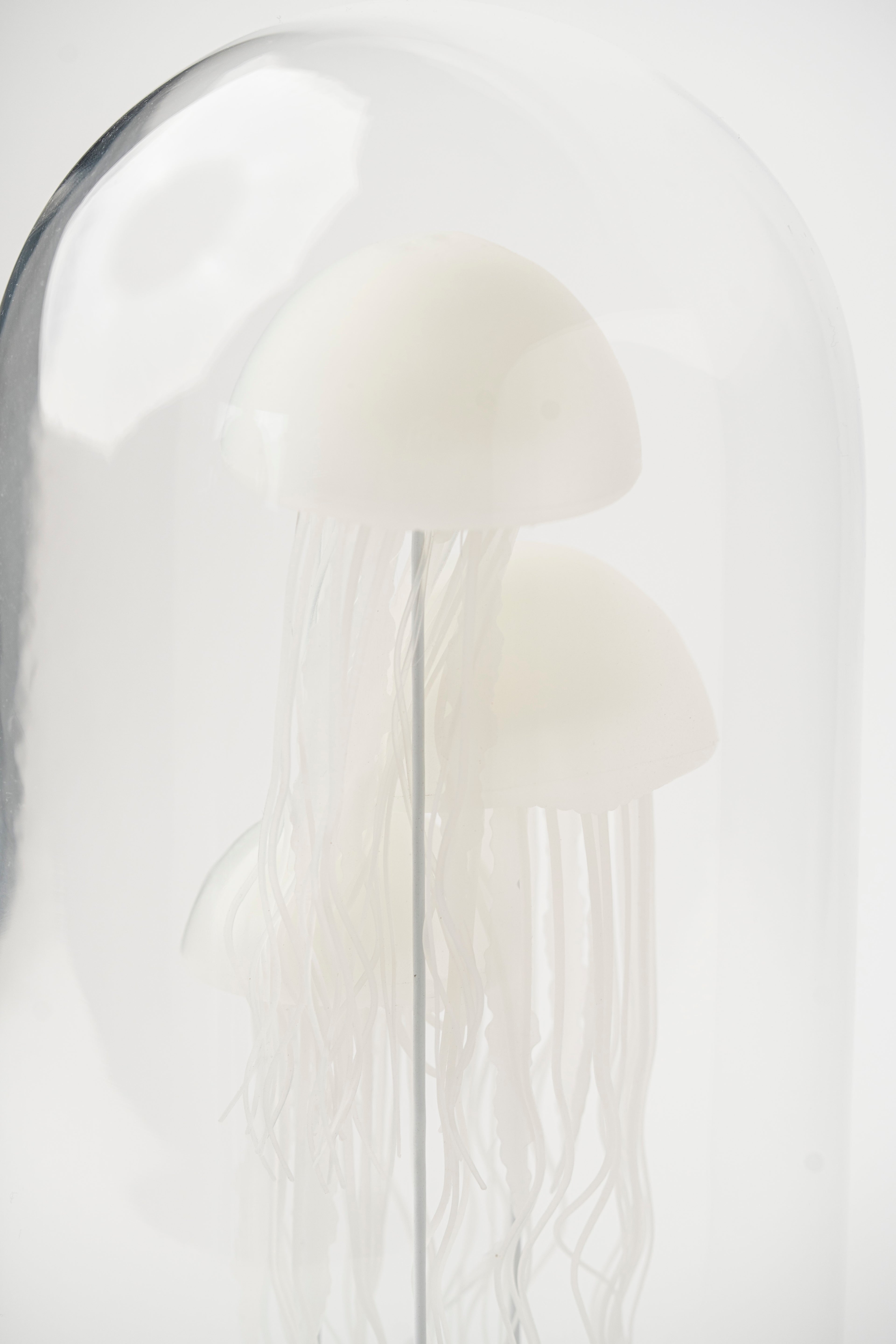 NOCTILUCENT JELLYFISH